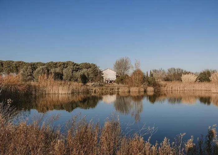 Grande Maison De Charme A 5 Mn Du Centre Tatil Evi