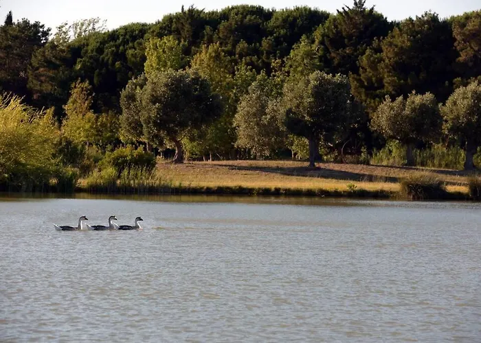 Grande Maison De Charme A 5 Mn Du Centre Tatil Evi